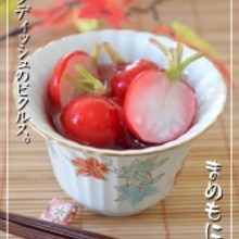 ポリ袋で簡単 ラディッシュのピクルス レシピ 作り方 By まめもにお 楽天レシピ ポリ袋で簡単 ラディッシュのピクルス レシピ 作り方 By まめもにお 楽天レシピ